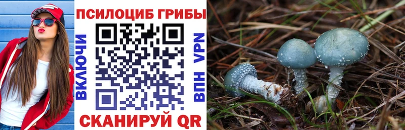 Псилоцибиновые грибы Psilocybine cubensis  наркота  Орехово-Зуево 
