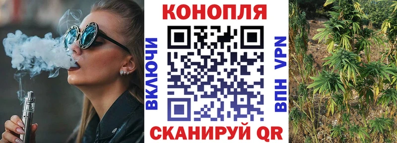 Бошки марихуана MAZAR  где можно купить   Орехово-Зуево 